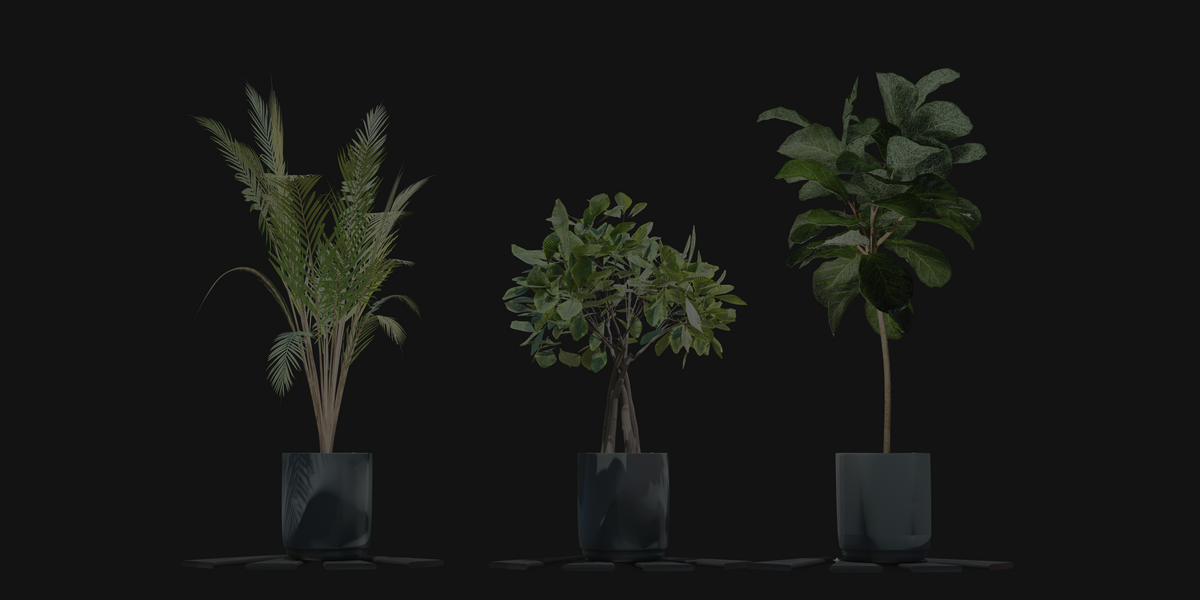 現代の床の間：和風ディスプレイマットが魅せる観葉植物の存在感